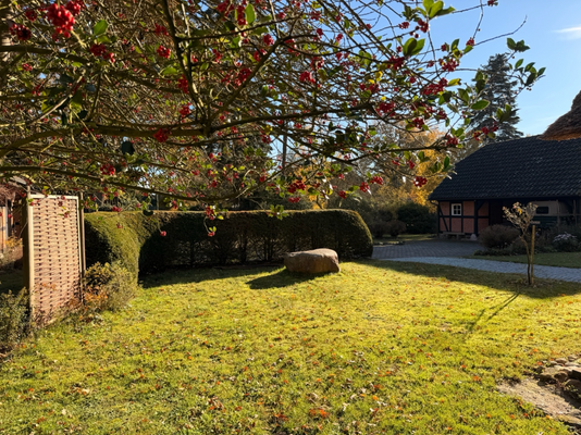 Garten und Nebengebäude.png