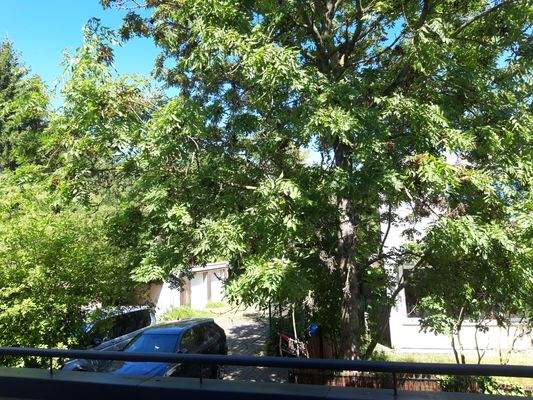 Ausblick von der Whg.