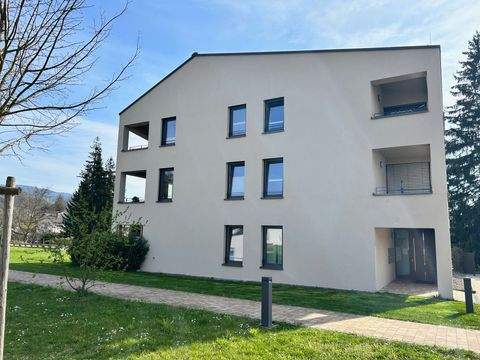 Sasbach Wohnungen, Sasbach Wohnung mieten