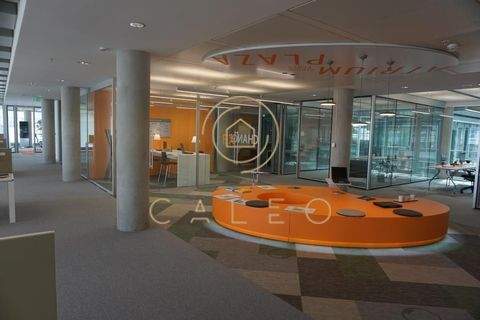 Frankfurt am Main Büros, Büroräume, Büroflächen 