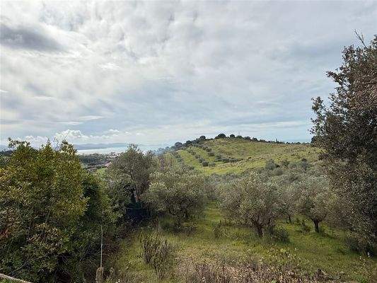 Ausblick aufs Meer und Olivenhain