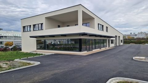 Steyr / Dornach Büros, Büroräume, Büroflächen 