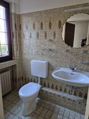 WhatsApp Image 2026-03-03 at 19.16.26.jpeg