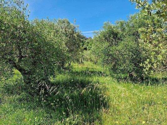 09_Rustico Toskana.jpg