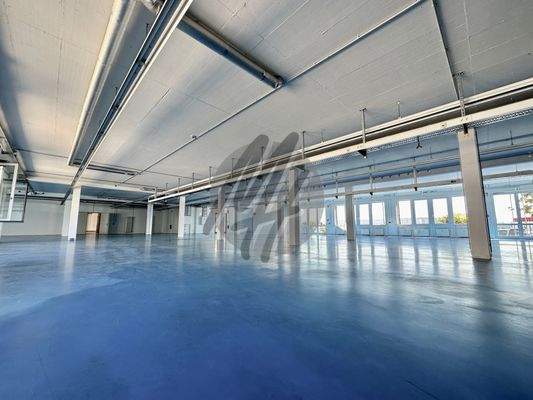 INFOS UNTER: 06171-586000