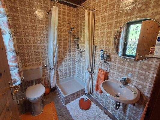 Gäste-WC mit Dusche