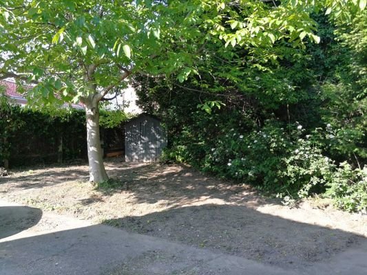 Garten 1