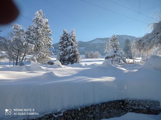 Aussicht aus dem Wintergarten