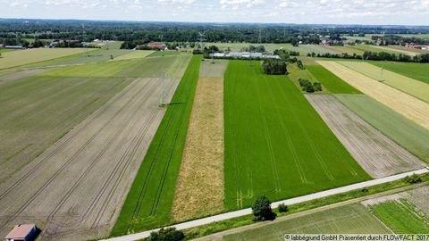 Karlsfeld Bauernhöfe, Landwirtschaft, Karlsfeld Forstwirtschaft