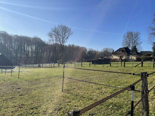 angenzende Pferdekoppel