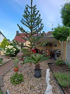 PHOTO-2025-08-11-17-31-17 (2).jpg