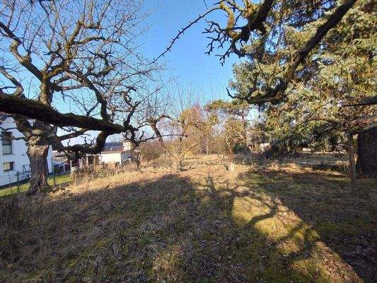 Blick auf das Wohngrundstück