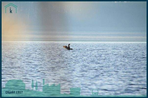 1917 Blick über den See viele Eindrücke.jpg