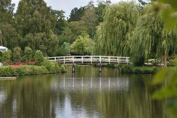 Blick auf Rosarium Uetersen