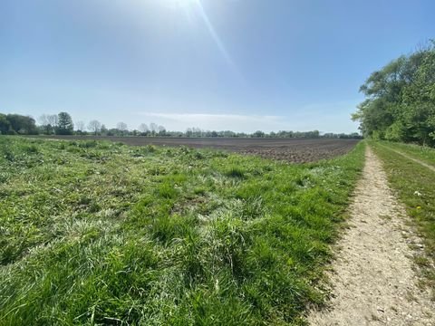 Ismaning Bauernhöfe, Landwirtschaft, Ismaning Forstwirtschaft