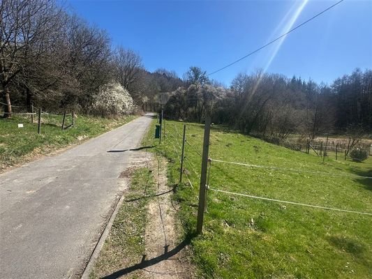 Waldweg
