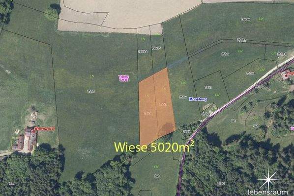 Wiese Moosburg zum Verkauf