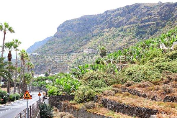 Authentisch kanarische Landschaft...