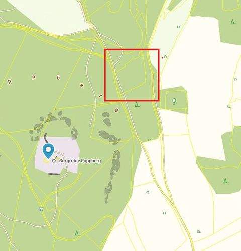 Birgland Bauernhöfe, Landwirtschaft, Birgland Forstwirtschaft