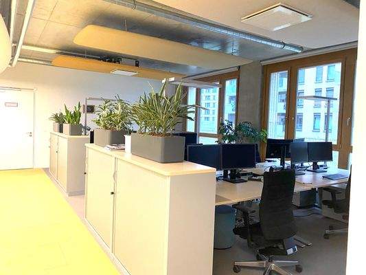 Bürofläche_2.jpg