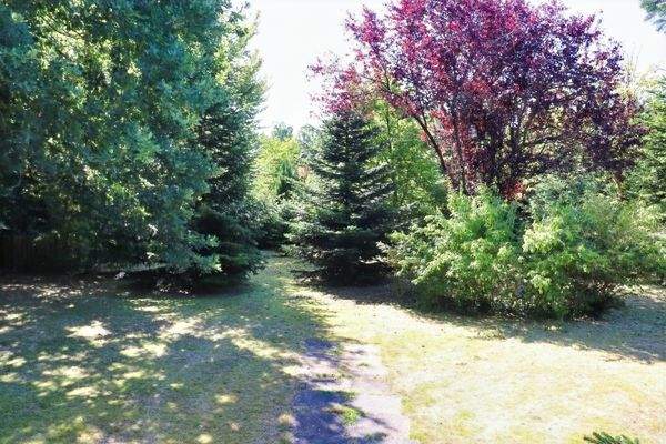 Garten mit vielen Pflanzen