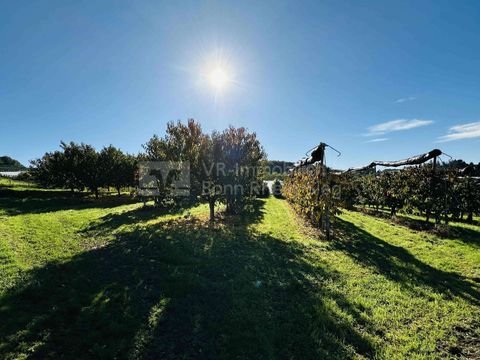 Wachtberg Grundstücke, Wachtberg Grundstück kaufen