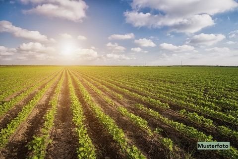 Hüttlingen Bauernhöfe, Landwirtschaft, Hüttlingen Forstwirtschaft