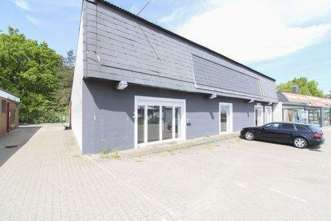 Adendorf Halle, Adendorf Hallenfläche