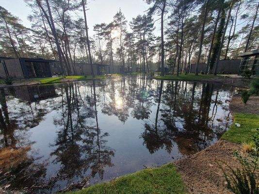 Ferienhaus Holland kaufen 002
