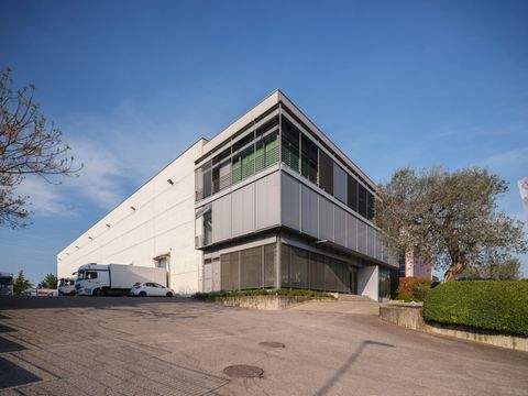 Peschiera Del Garda Halle, Peschiera Del Garda Hallenfläche