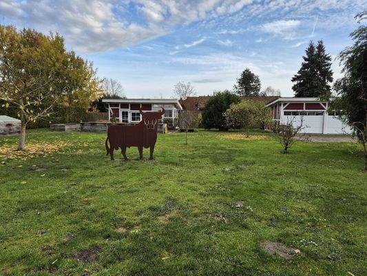 Blick in den hinteren Gartenteil