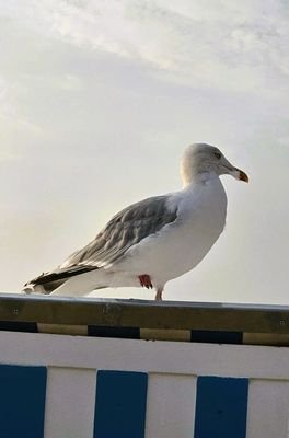 Strandnähe.jpg