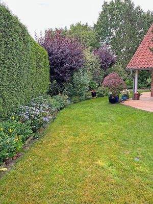 Gestaltung Grundstücksgrenze