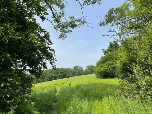 Für Naturliebhabende