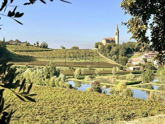 Kleines Weingut in den sanften Hügellandschaften der Colli Berici  in Sarego