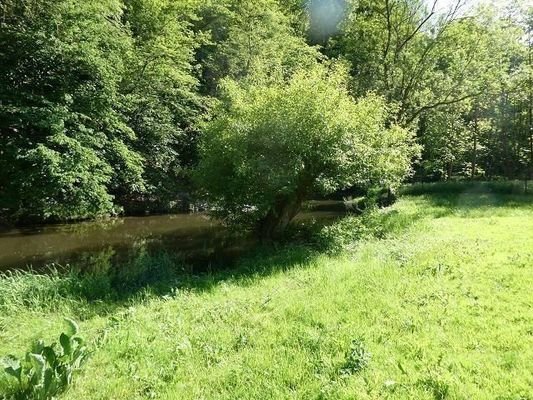 Sonniges Grundstück: Wiese mit Wasser am Wald