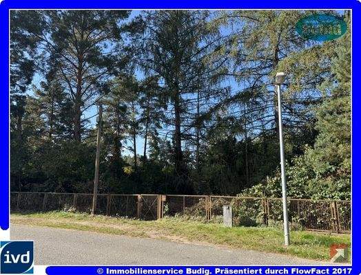 Blick von der Straße zum Grundstück