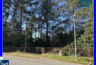 Blick von der Straße zum Grundstück