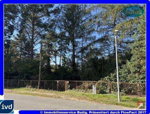 Königs Wusterhausen, OT Senzig Grundstücke, Königs Wusterhausen, OT Senzig Grundstück kaufen