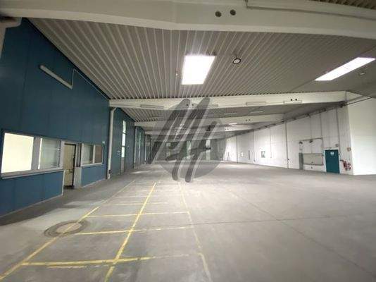 INFOS UNTER: 06171-586000 