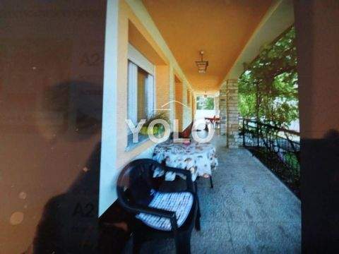 Jadranovo Wohnungen, Jadranovo Wohnung mieten