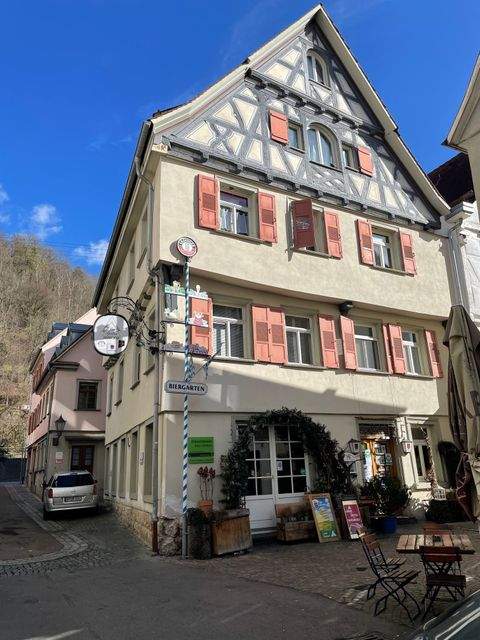 Geislingen an der Steige Wohnungen, Geislingen an der Steige Wohnung kaufen