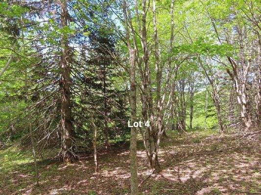 Cape Breton - Traumhaft schöne Naturlage am Middle