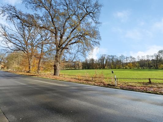 Blick von der Straße