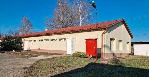 Kiskunmajsa Halle, Kiskunmajsa Hallenfläche