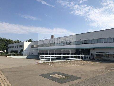 Hannover Halle, Hannover Hallenfläche