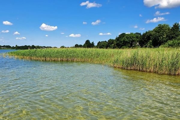 Die Badestelle am Pönitzer See