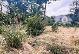 Grundstück vorn.jpg