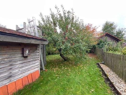 Foto 30.09.25, 13 42 43.jpg