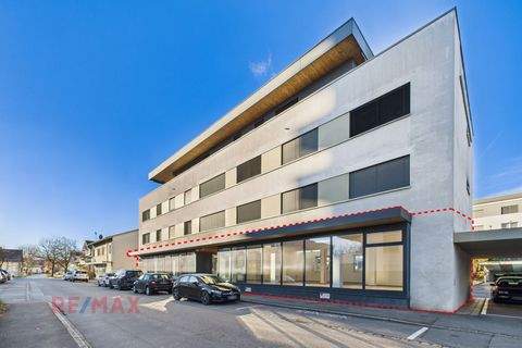 Lustenau Ladenlokale, Ladenflächen 